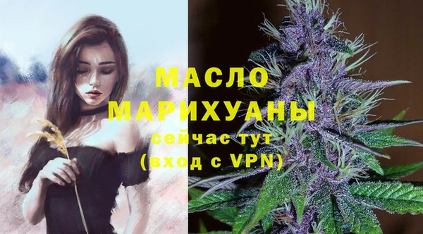 хмурый Арсеньев