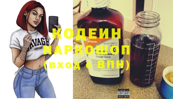 хмурый Арсеньев