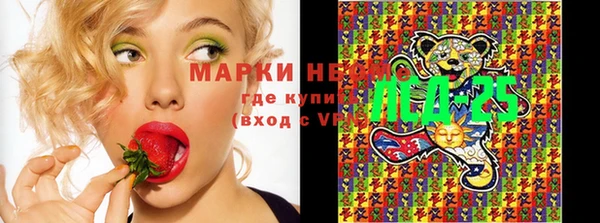 хмурый Арсеньев