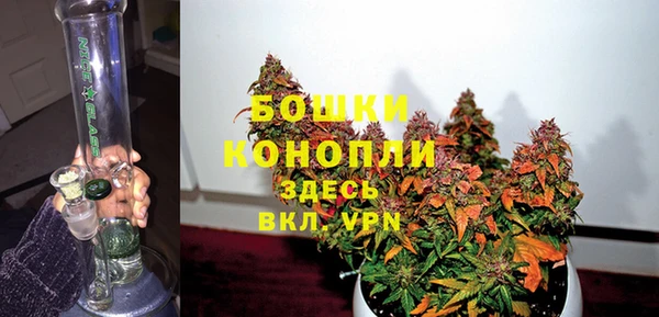 хмурый Арсеньев